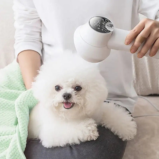 Dog Hair Dryer with Slicker Brush Attachment