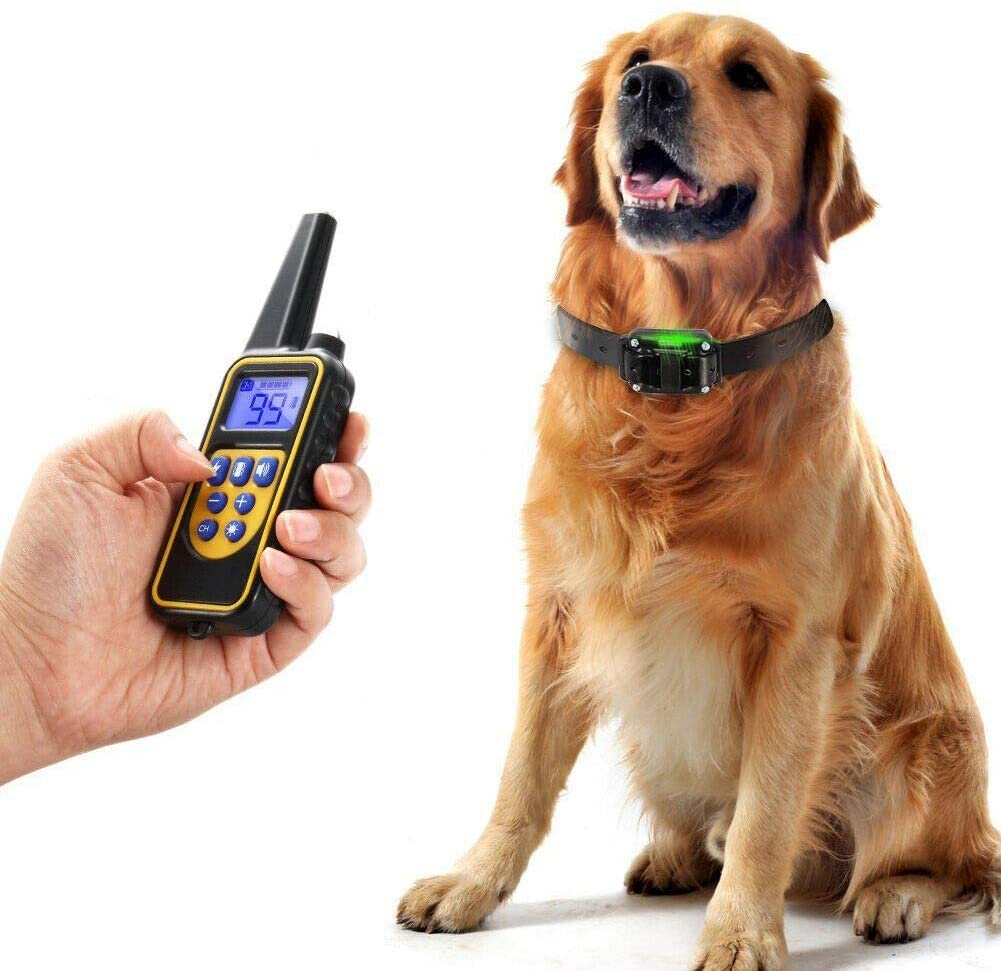 Dog training collar waterproof remote control