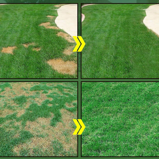 Liquid Seeding Grass Lawn Green Spray System