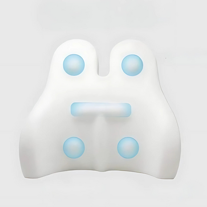 Back Support Cushion with Memory Foam Design