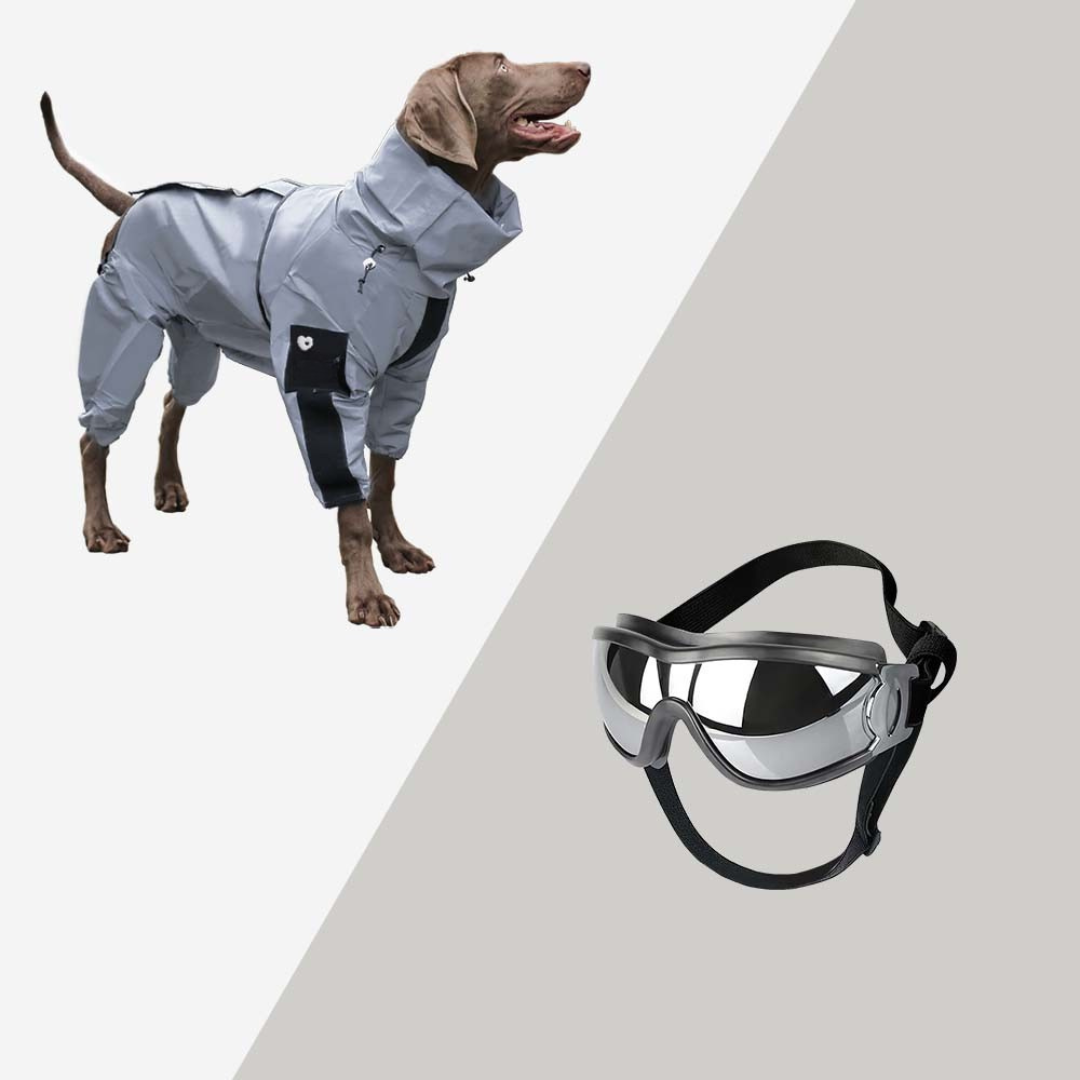 Dog Raincoat Waterproof Reflective All Weather Suit