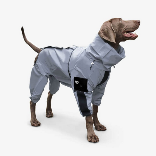 Dog Raincoat Waterproof Reflective All Weather Suit