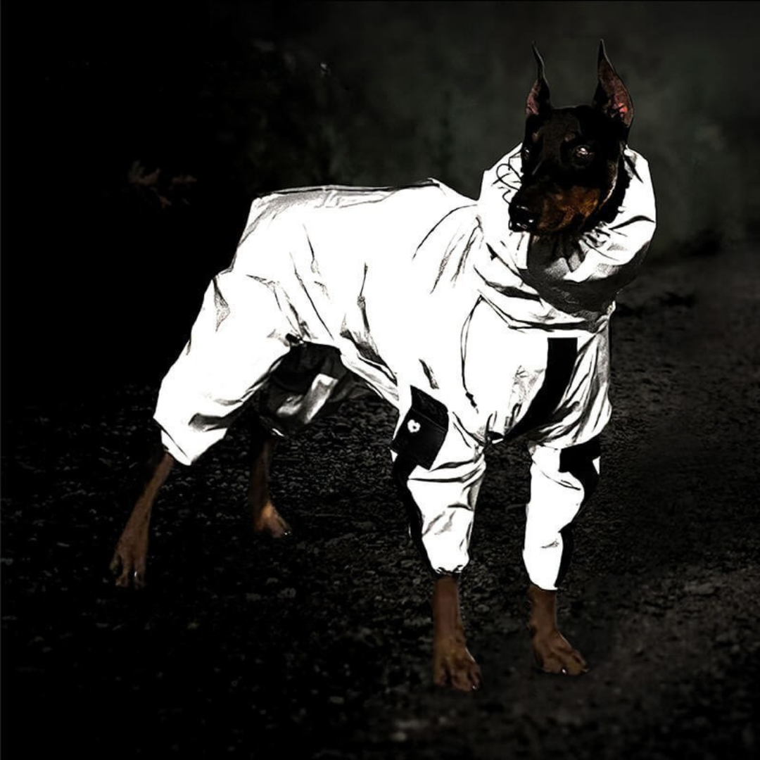 Dog Raincoat Waterproof Reflective All Weather Suit