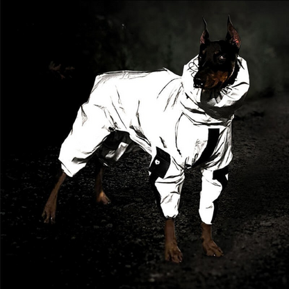 Dog Raincoat Waterproof Reflective All Weather Suit