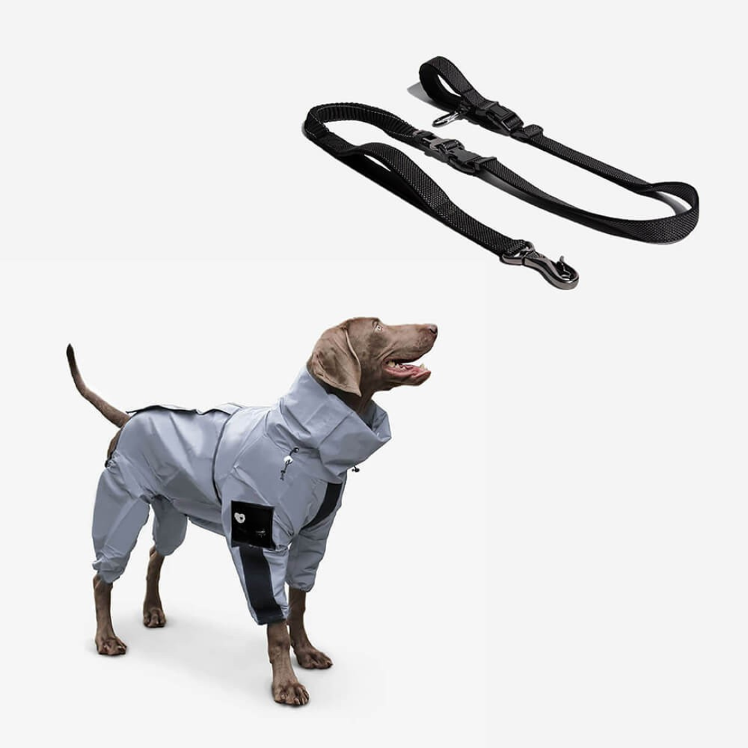 Dog Raincoat Waterproof Reflective All Weather Suit