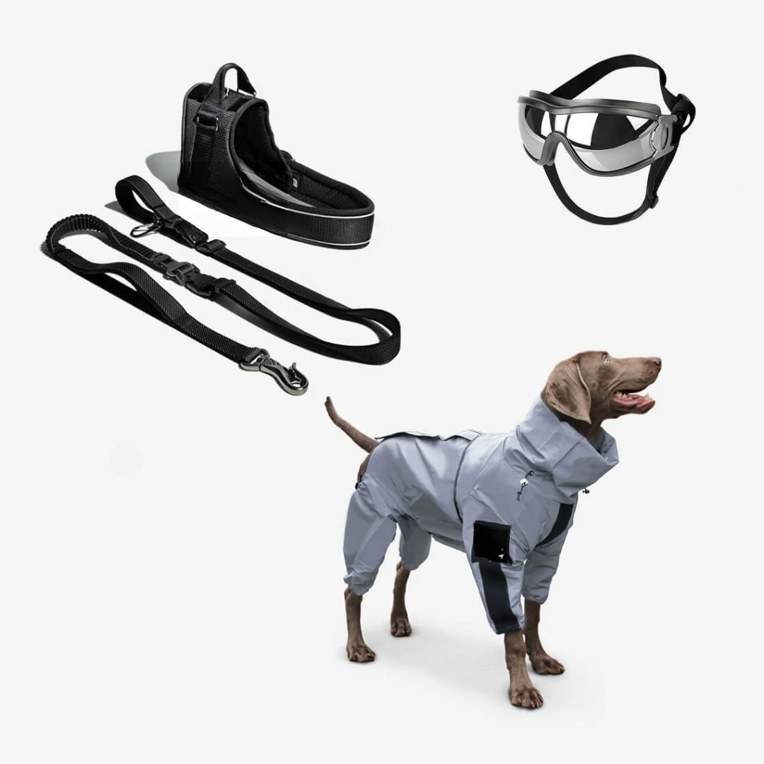 Dog Raincoat Waterproof Reflective All Weather Suit