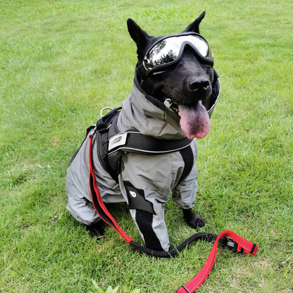 Dog Raincoat Waterproof Reflective All Weather Suit