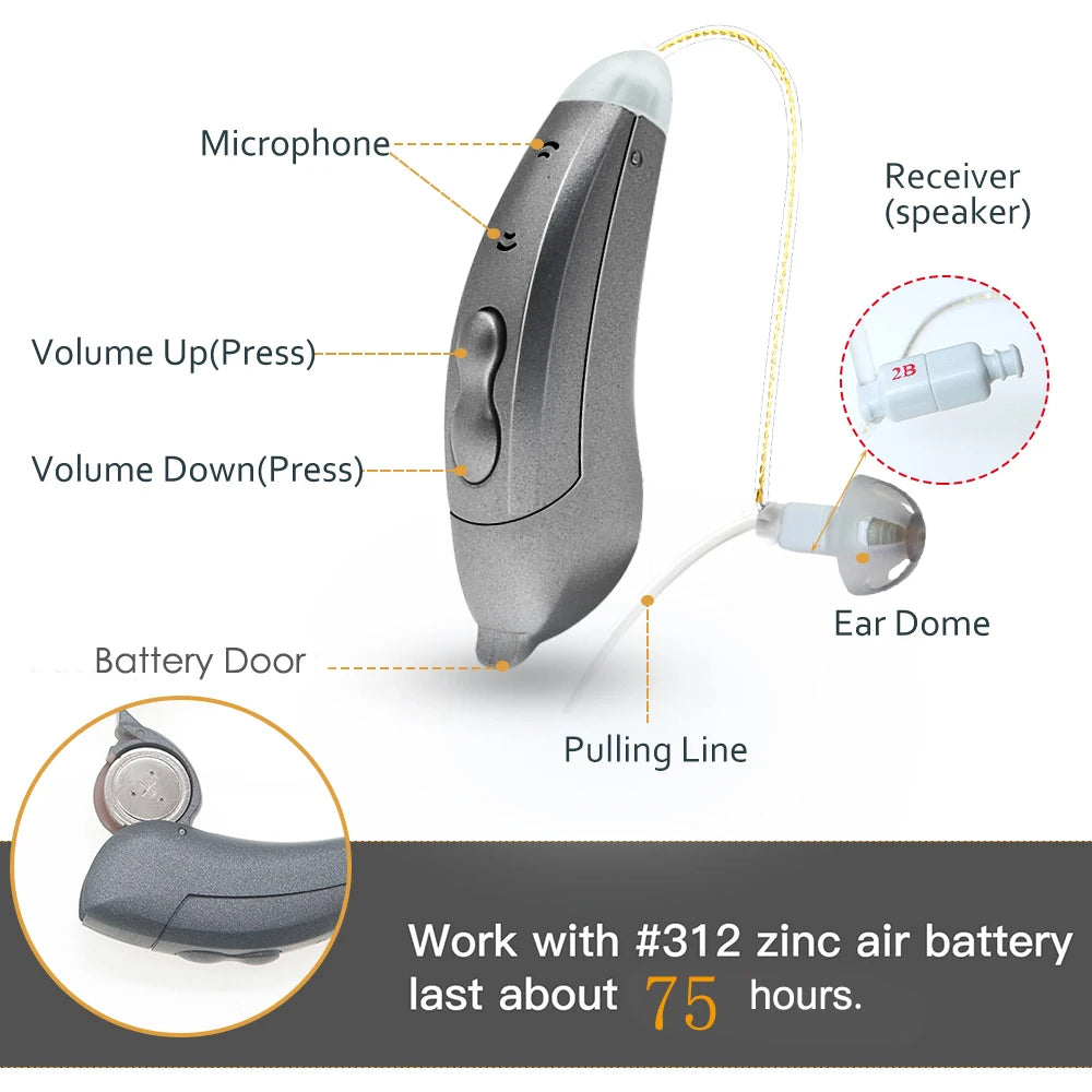 Hearing Aids with Bluetooth App Control