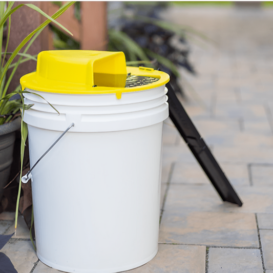 Rat Trap Bucket Lid Reusable Pest Catcher