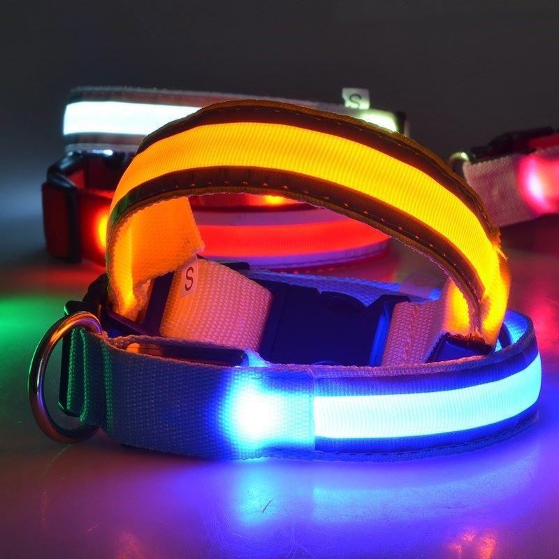 LED Hundhalsband