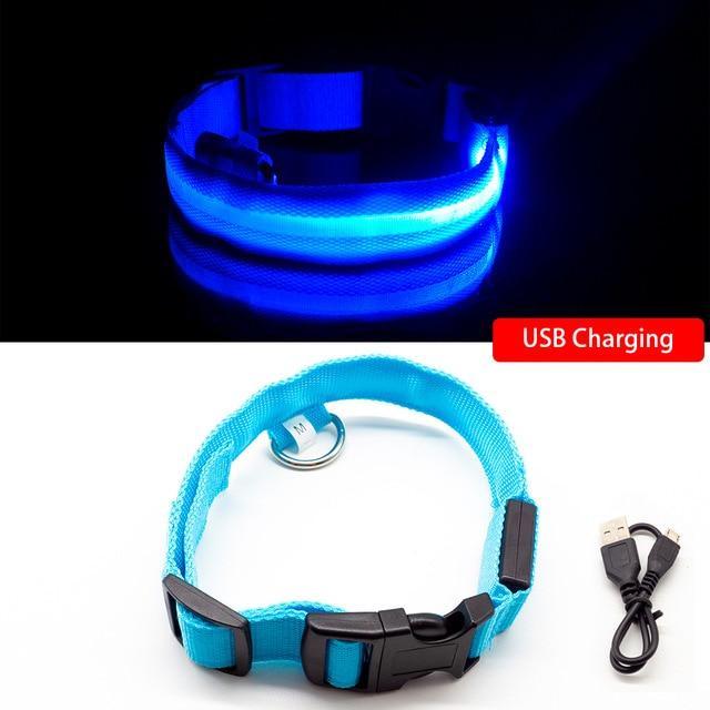 LED Hundhalsband