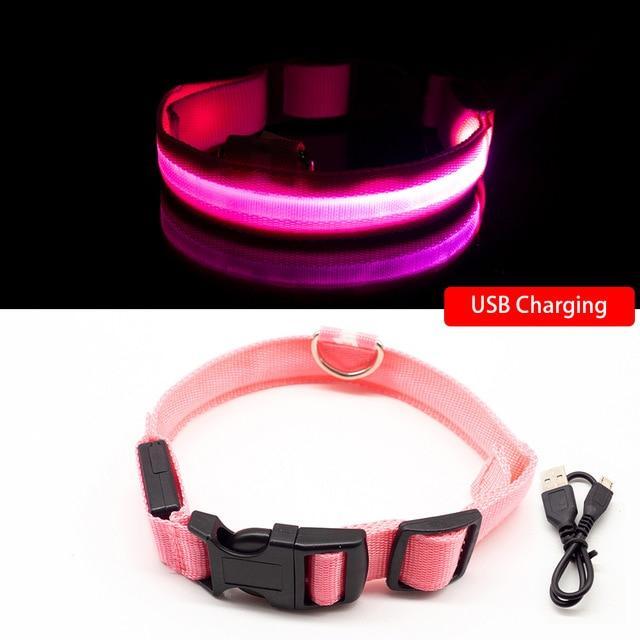 LED Hundhalsband