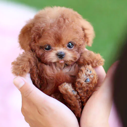 Snoopie - My realistic robot puppy